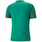 PUMA teamCUP Trainingsshirt Herren 05 - pepper green M