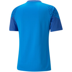PUMA teamCUP Trainingsshirt Herren 02 - electric blue lemonade S