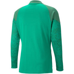 PUMA teamCUP Trainingsjacke Herren 05 - pepper green S