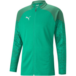 PUMA teamCUP Trainingsjacke Herren 05 - pepper green M