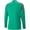PUMA teamCUP Trainingsjacke Herren 05 - pepper green L