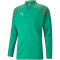 PUMA teamCUP Trainingsjacke Herren 05 - pepper green 3XL