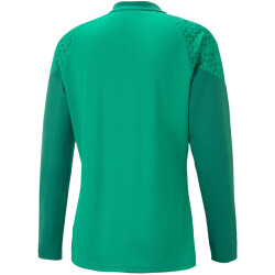 PUMA teamCUP Training 1/4-Zip Top Herren 05 - pepper green S