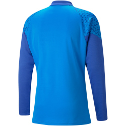 PUMA teamCUP Training 1/4-Zip Top Herren 02 - electric...