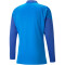 PUMA teamCUP Training 1/4-Zip Top Herren 02 - electric blue lemonade XXL