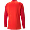 PUMA teamCUP Training 1/4-Zip Top Herren 01 - PUMA red S