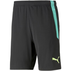PUMA teamLIGA Training Trainingsshorts 2 51 - PUMA...