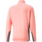 PUMA Gamer Golf 1/4-Zip Herren 41 - flamingo pink/quiet shade M