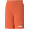 PUMA Essentials+ 2 Col Shorts Jungen 95 - chili powder 140