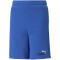 PUMA Essentials+ 2 Col Shorts Jungen 92 - royal sapphire 116