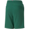 PUMA Essentials+ 2 Col Shorts Jungen 37 - vine 164
