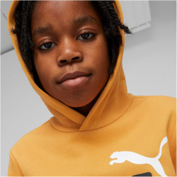 PUMA Ess+ Metallic 2 Col Big Logo Fleece-Hoodie Jungen 30 - desert clay 140
