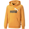 PUMA Ess+ Metallic 2 Col Big Logo Fleece-Hoodie Jungen 30 - desert clay 140
