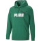 PUMA Ess+ Metallic 2 Col Big Logo Terry-Hoodie 37 - vine XL