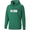 PUMA Ess+ Metallic 2 Col Big Logo Terry-Hoodie 37 - vine 3XL