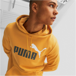 PUMA Ess+ Metallic 2 Col Big Logo Terry-Hoodie 30 -...