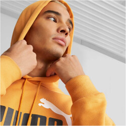 PUMA Ess+ Metallic 2 Col Big Logo Fleece-Hoodie Herren 30 - desert clay XXL