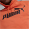 PUMA Essentials Big Logo Fleece-Hoodie Herren 94 - chili powder M