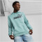 PUMA Essentials Big Logo Fleece-Hoodie Herren 75 - adriatic M