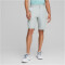 PUMA Dealer 10" Golf-Shorts Herren 04 - ash gray 28