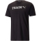 PUMA Graphic Training-T-Shirt Herren 01 - puma black/q3 graphic M