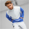 PUMA Fit Heritage Woven 1/2-Zip Sweatshirt Herren 92 - royal sapphire/platinum gray M