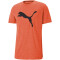 PUMA Train Favorite Heather Cat Trainingsshirt Herren 94 - chili powder heather M