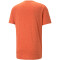 PUMA Train Favorite Heather Cat Trainingsshirt Herren 94 - chili powder heather M