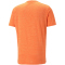 PUMA Train Favorite Heather Cat Trainingsshirt Herren 23 - cayenne pepper heather M