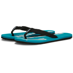 PUMA Epic Flip Flop V2 Zehentrenner 67 - green lagoon/platinum gray/puma black 38