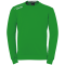 Kempa Player Trainingsshirt Herren 202 - grün/weiß M