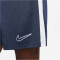 NIKE Dri-FIT Academy Fußballshorts Herren