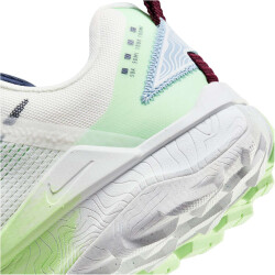 NIKE Wildhorse 8 Trailrunning-Schuhe Herren