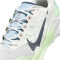 NIKE Wildhorse 8 Trailrunning-Schuhe Herren