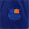 NIKE FC Barcelona Strike Dri-FIT Knit Fußballshorts Herren