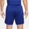 NIKE FC Barcelona Strike Dri-FIT Knit Fußballshorts Herren