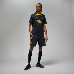 NIKE Paris Saint-Germain Strike Jordan Dri-FIT Knit...