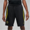 NIKE Paris Saint-Germain Strike Jordan Dri-FIT Knit Fußballshorts Herren