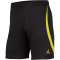 NIKE Paris Saint-Germain Strike Jordan Dri-FIT Knit Fußballshorts Herren