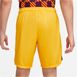 NIKE FC Barcelona Stadium Fourth Dri-FIT...