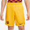 NIKE FC Barcelona Stadium Fourth Dri-FIT Fußballshorts Herren 2022/23