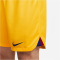 NIKE FC Barcelona Stadium Fourth Dri-FIT Fußballshorts Herren 2022/23