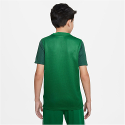 NIKE Dri-FIT Trophy 5 Fu&szlig;balltrikot Kinder 302 - pine green/gorge green/gorge green/white L (147-158 cm)