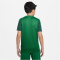 NIKE Dri-FIT Trophy 5 Fu&szlig;balltrikot Kinder 302 - pine green/gorge green/gorge green/white L (147-158 cm)