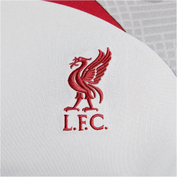NIKE FC Liverpool Strike Dri-FIT Knit kurzarm Fu&szlig;ballshirt Herren 015 - wolf grey/smoke grey/tough red XL