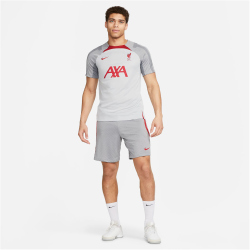 NIKE FC Liverpool Strike Dri-FIT Knit kurzarm Fu&szlig;ballshirt Herren 015 - wolf grey/smoke grey/tough red XL