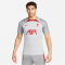 NIKE FC Liverpool Strike Dri-FIT Knit kurzarm Fu&szlig;ballshirt Herren 015 - wolf grey/smoke grey/tough red XL