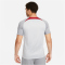 NIKE FC Liverpool Strike Dri-FIT Knit kurzarm Fu&szlig;ballshirt Herren 015 - wolf grey/smoke grey/tough red XL