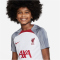 NIKE FC Liverpool Strike Dri-FIT Knit kurzarm Fu&szlig;ballshirt Kinder 101 - white/smoke grey/tough red M (137-147 cm)