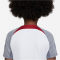 NIKE FC Liverpool Strike Dri-FIT Knit kurzarm Fu&szlig;ballshirt Kinder 101 - white/smoke grey/tough red M (137-147 cm)